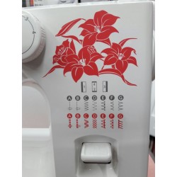 Usha Janome New Allure With Auto Needle Thread