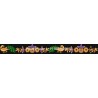 10 pcs Free Border Designs (DST Format )For Brother Ricoma HSW Fortever Melco SWF All Type Computerized Embroidery Machines